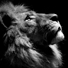 Account Avatar